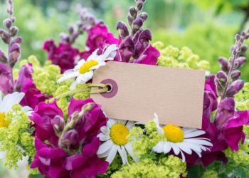 Die schönsten Anlässe, um Blumen zu verschicken