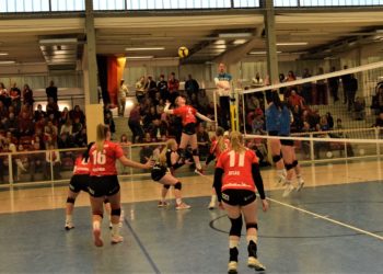 Sportmix: SV Energie Cottbus bezwingt Tabellenführer USV Halle mit 3:1