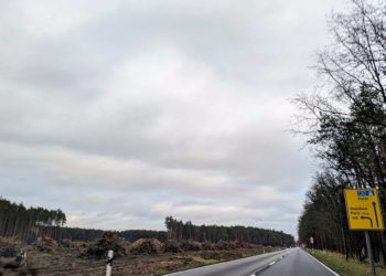 Baustelle L51 zwischen Cottbus und Forst wird voll gesperrt