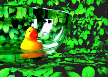 Staatstheater Cottbus lädt zum Literaturkonzert in die Theaterscheune