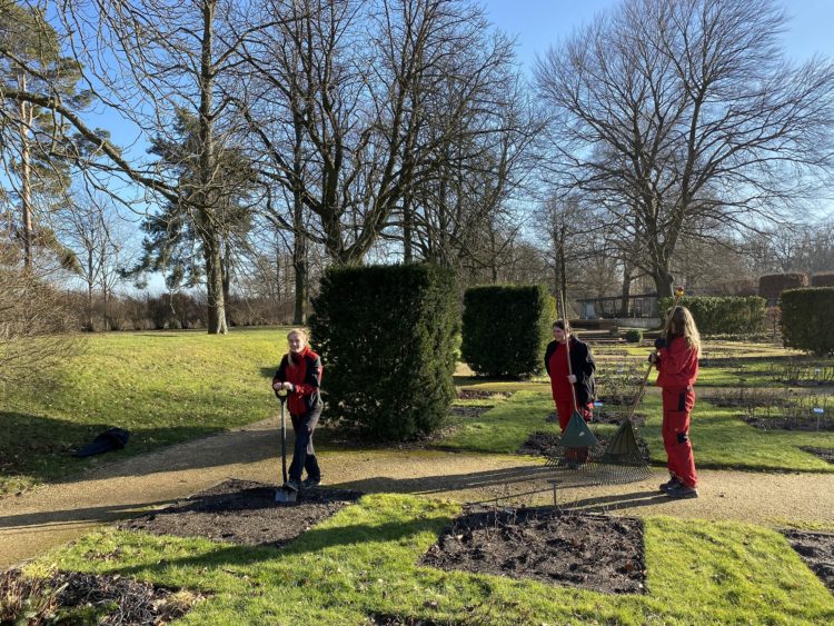 NachfolgerInnen gesucht: Für "unsere" Freiwilligen
Sharmine, Leonie und Josie endet am 31. August das freiwillige Jahr (Bild: Stadt Forst / Kay Gröbe