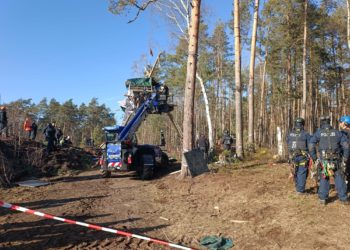 „Heibo“: Polizei räumt von Aktivisten besetztes Waldstück bei Laußnitz