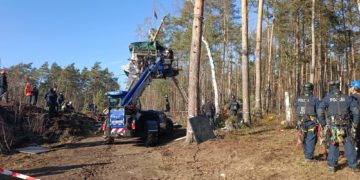 Bild: Blaulichtreport Lausitz