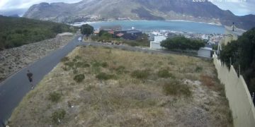Nick F. wurde auf einer Überwachungskamera in Südafrika gefilmt