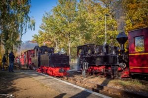 Parkeisenbahn Cottbus startet mit „Graf Arnim“ in Oktoberwochenende