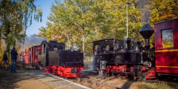 Parkeisenbahn Cottbus 