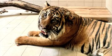 Tierpark Cottbus