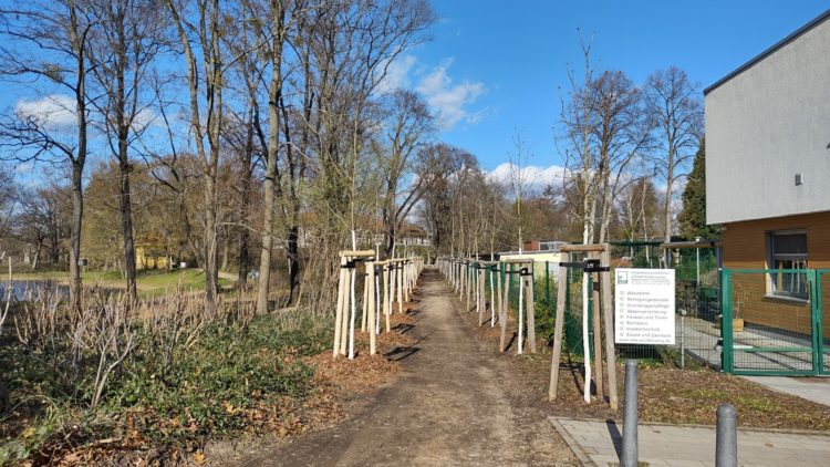 Bild: Stadt Senftenberg