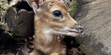 Zoo Görlitz