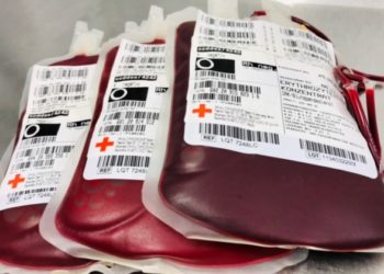 DRK Blutspendedienst 