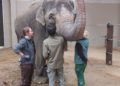 Tierpark Cottbus
