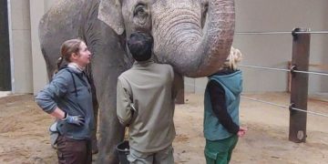Tierpark Cottbus