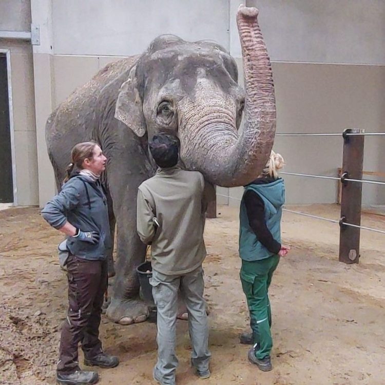 Tierpark Cottbus