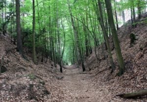 GeoKids gehen mit Kescher und Lupe auf Spurensuche