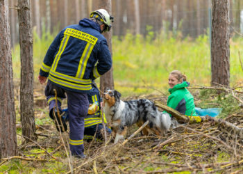 Forst: Rettungshunde legten Prüfung in der Flächensuche ab