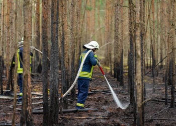 Feuerwehr bei Waldbrand in Groß Schacksdorf im Einsatz