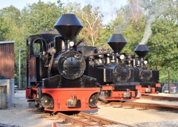 Waldeisenbahn Muskau 