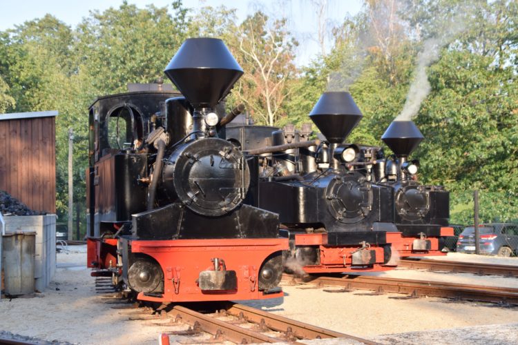 Waldeisenbahn Muskau 