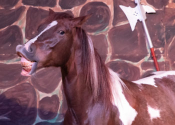 OMPAH-Kunstreitertruppe lädt zum Pferdetheater in Cottbus