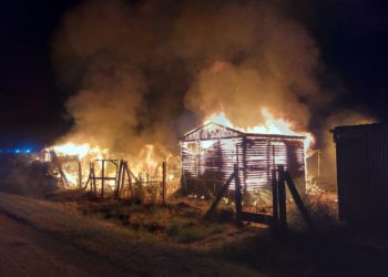 Ermittlungen nach mehreren Bränden in Beeskow. Gartenlauben in Flammen