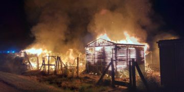 Bild: Freiwillige Feuerwehr Beeskow