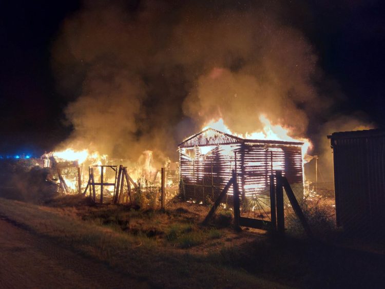 Bild: Freiwillige Feuerwehr Beeskow