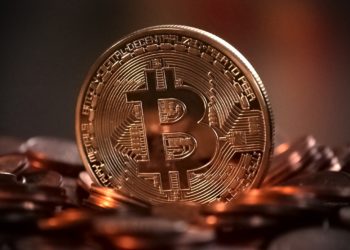 Bitcoin 1 Jahr vor dem Halving: Was passiert 2024?