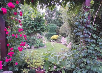 Kreisvolkshochschule Elbe-Elster