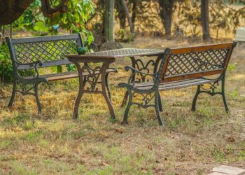 Die perfekte Ergänzung für deinen Garten