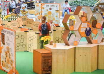 Kleitz Wirth media GmbH