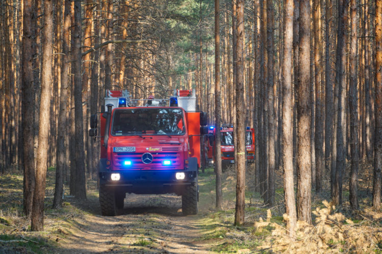 Blaulichtreport Lausitz 