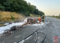 LKW Brand auf der A13 zwischen Großräschen und Bronkow, Foto: FFW Großräschen Nord