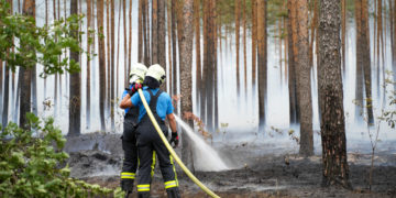 Bild: Blaulichtreport Lausitz