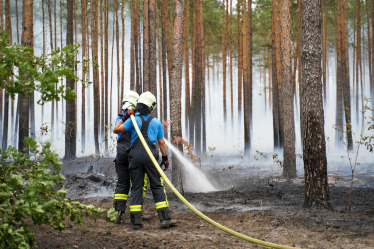 Bild: Blaulichtreport Lausitz