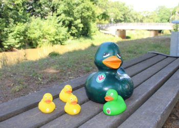 FreiwilligenAgentur Spremberg 