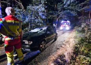 Hosena: Baum auf Auto gestürzt. Drei Insassen befreit
