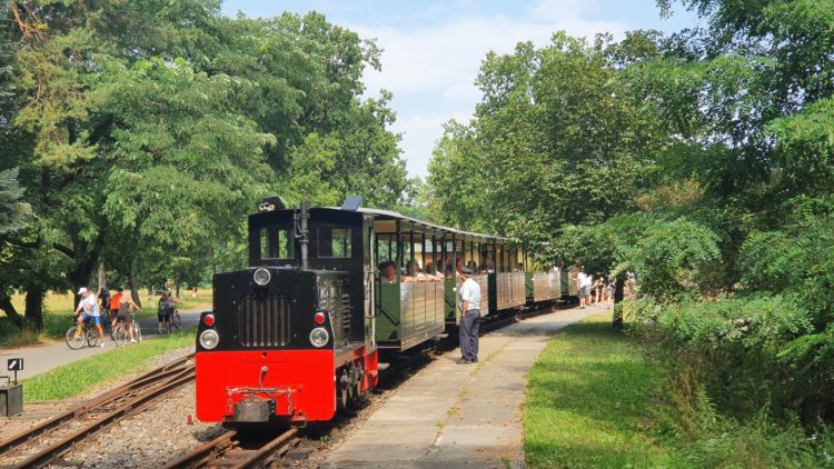 Waldeisenbahn Muskau