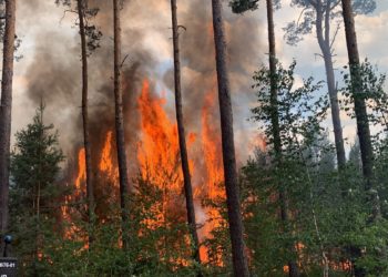 Bild: Blaulichtreport Lausitz