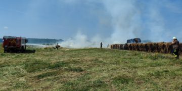 Bild: Blaulichtreport Lausitz