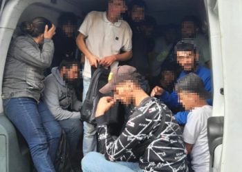 92 unerlaubte Einreisen in Südbrandenburg aufgedeckt. Eine Festnahme