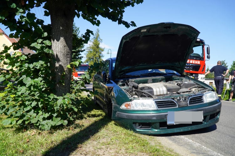 Bild: Blaulichtreport Lausitz