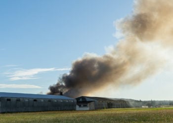 Feuerwehren im Großeinsatz: Lagerhalle in Turnow-Preilack brennt