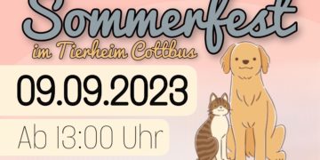 Tierheim Cottbus 