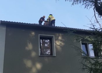 Bild: Feuerwehr Cottbus/Chóśebuz