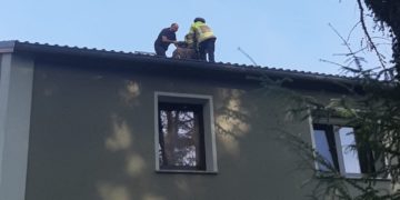 Bild: Feuerwehr Cottbus/Chóśebuz