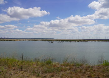 Schweigegeld gezahlt? LEAG & Stadt Frankfurt weisen Vorwürfe zurück