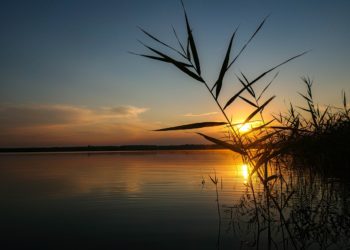 Weite und Wasser: Unvergesslichen Urlaub im Lausitzer Seenland erleben