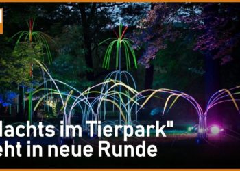 Tierpark Cottbus bis Mitternachts bei „Nachts im Tierpark“ zu erleben