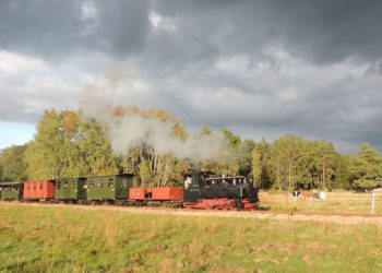 Waldeisenbahn Muskau 