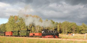 Waldeisenbahn Muskau 